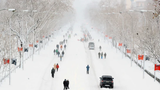 El Paseo de la Castellana de Madrid, cubierto por la nieve El Paseo de la Castellana de Madrid, cubierto por la nieve