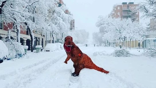Una persona disfrazada de dinosaurio pasea por las calles nevadas de Madrid Una persona disfrazada de dinosaurio pasea por las calles nevadas de Madrid