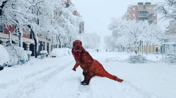 Una persona disfrazada de dinosaurio pasea por las calles nevadas de Madrid