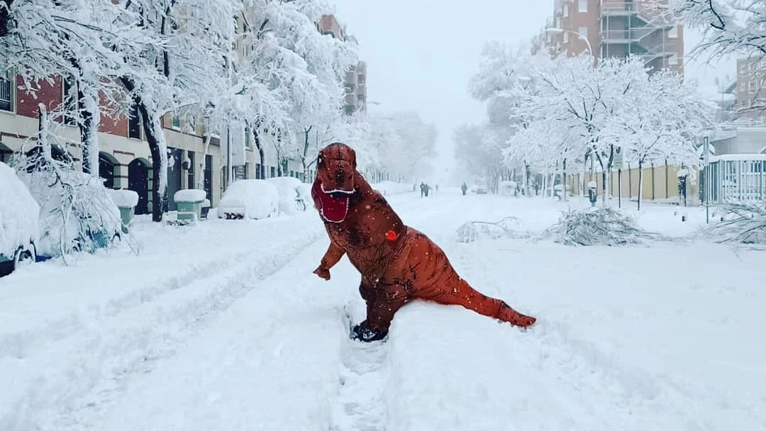 Una persona disfrazada de dinosaurio pasea por las calles nevadas de Madrid