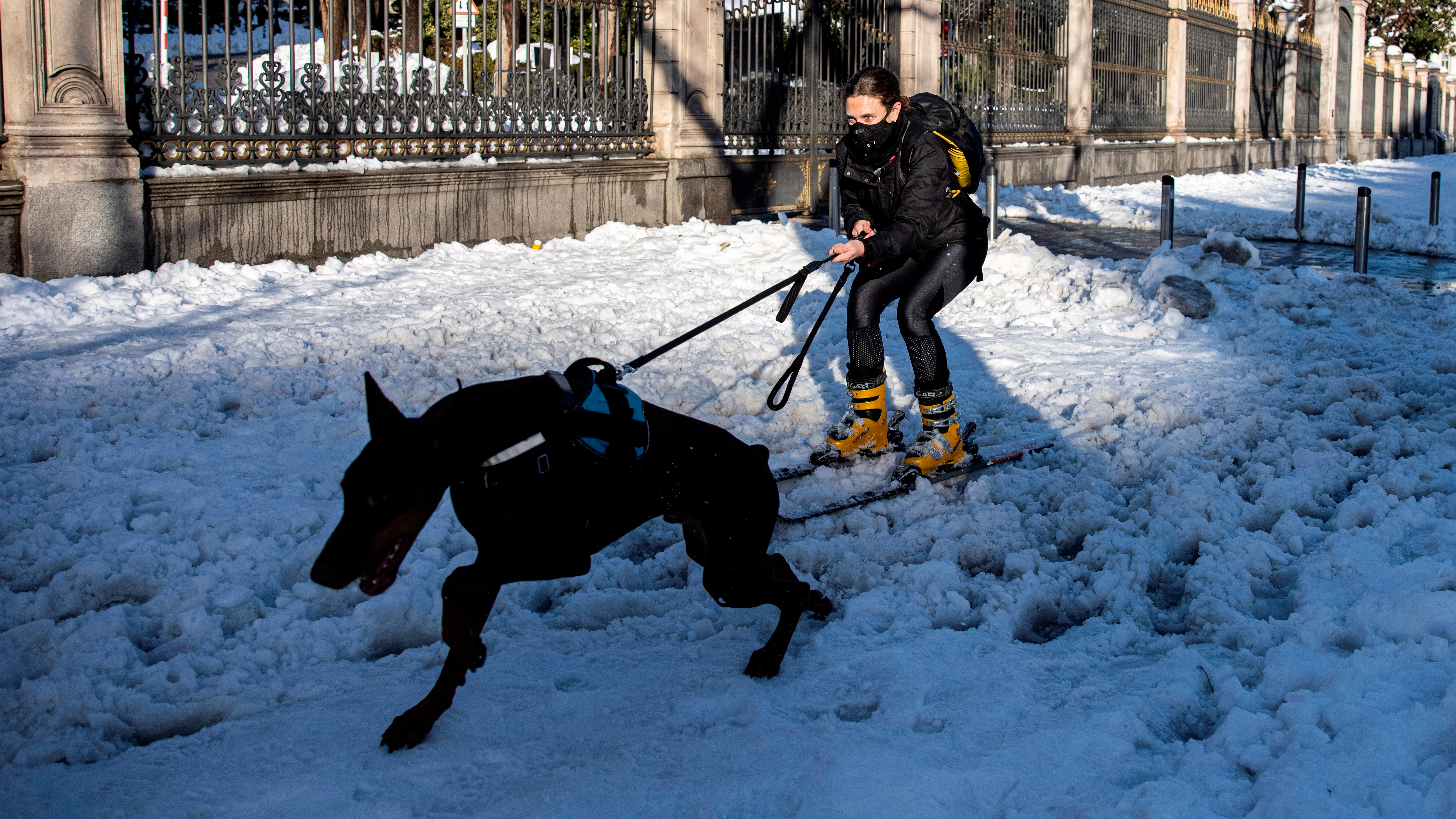 Una persona es arrastrada por un perro en la calle Alcalá de Madrid, este domingo