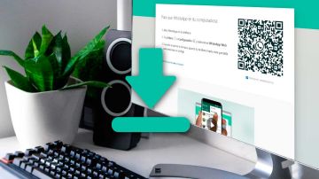 Descarga vídeo de WhatsApp al PC