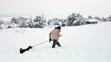 Una persona pasea con su perro en la nieve en Barracas (Castellón)