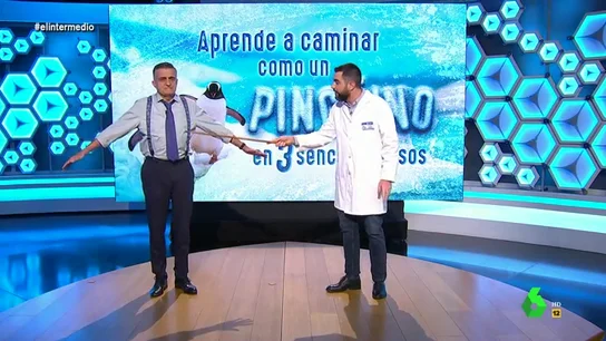 Cómo un pingüino en tres sencillos pasos: curso para evitar caídas "ridículas" en el hielo Cómo un pingüino en tres sencillos pasos: curso para evitar caídas "ridículas" en el hielo