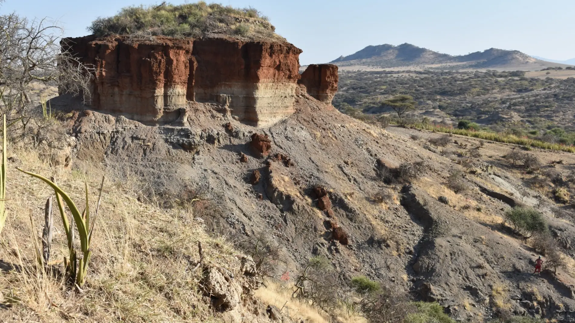 Un yacimiento en Tanzania revela la explotacion de ecosistemas hace 2 millones de anos