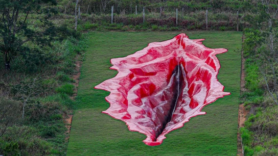 Escultura gigante de una vagina en Brasil Escultura gigante de una vagina en Brasil