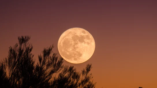 Calendario lunar 2021: fases lunares, superlunas y eclipses Superluna