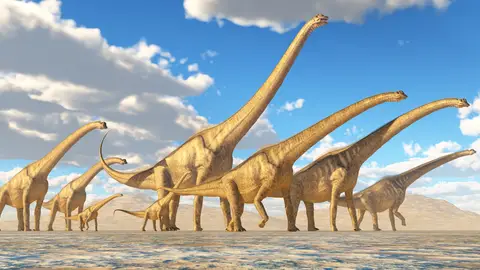 Saurópodos Saurópodos