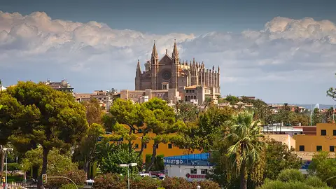 Palma Palma