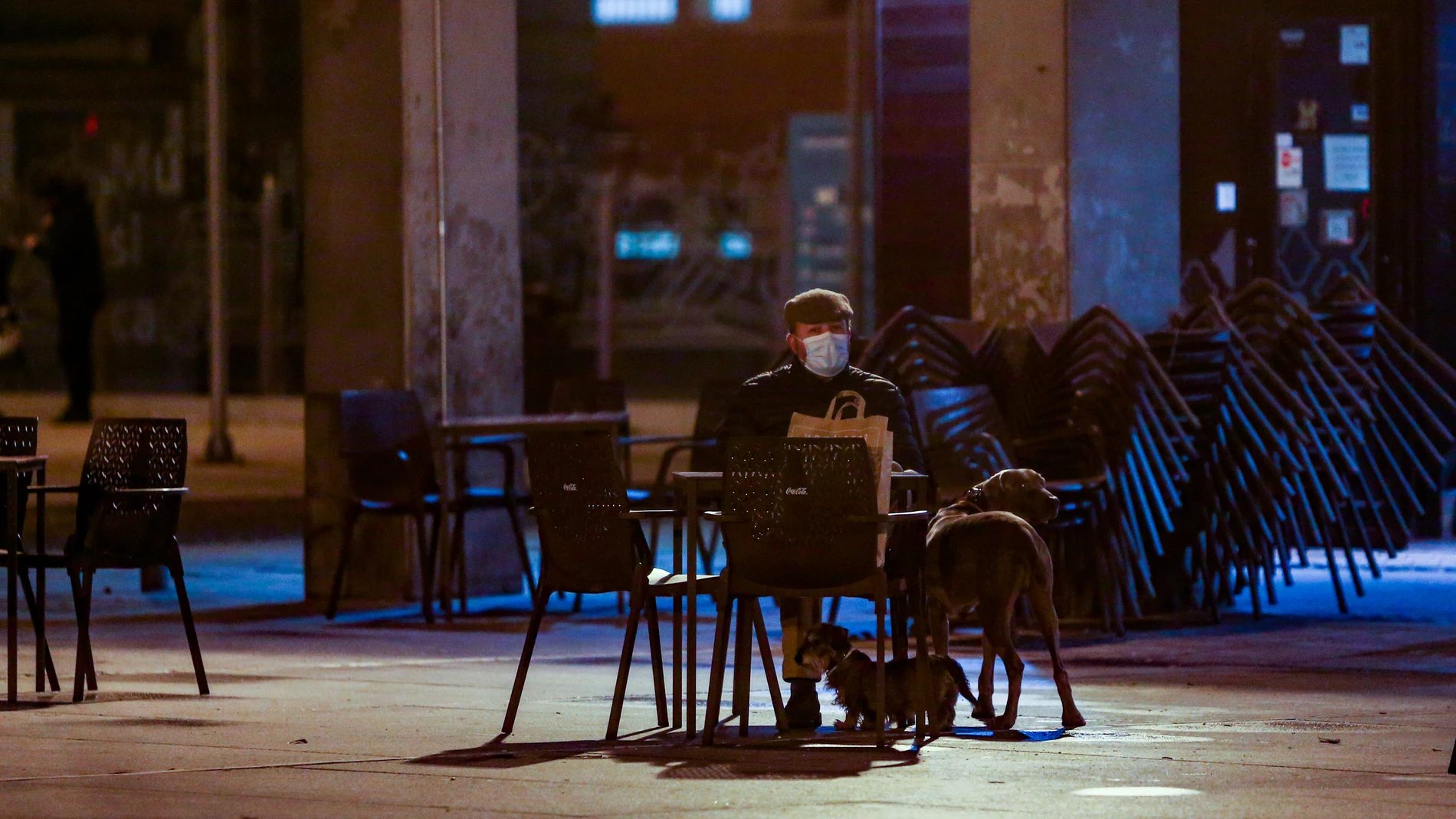 Un hombre con sus dos perros sentado en la terraza de un bar de Madrid