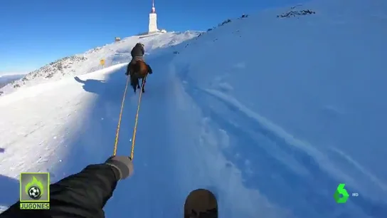 snowboard caballo snowboard caballo