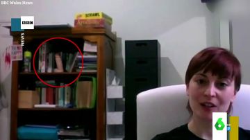 El surrealista vídeo en el que una joven aparece en un debate de la BBC con un juguete sexual detrás