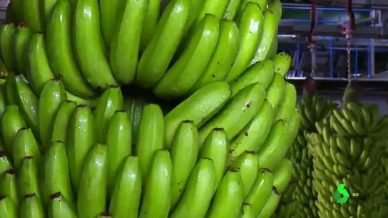 Comerse un plátano tiene menor huella de carbono que tomarse un café: estos son los datos Comerse un plátano tiene menor huella de carbono que tomarse un café: estos son los datos