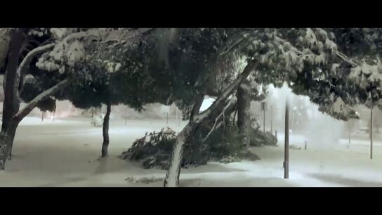 La tormenta perfecta que acab&oacute; en subida de la luz, o c&oacute;mo la borrasca Filomena dispar&oacute; la factura