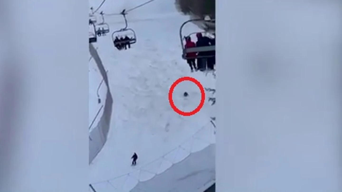 La espectacular persecución de un oso a un joven en una pista de esquí La espectacular persecución de un oso a un joven en una pista de esquí