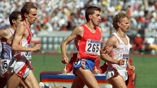 Alejandro Gómez Alejandro Gómez