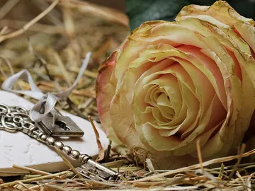 Día de San Valentín Día de San Valentín