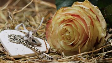 Día de San Valentín