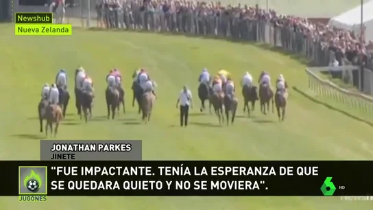 Locura en una carrera de caballos: un hombre salta a la pista... ¡en plena carrera! Locura en una carrera de caballos: un hombre salta a la pista... ¡en plena carrera!