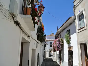 Zafra Zafra