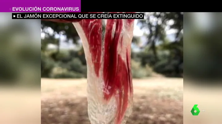 El jamón excepcional del cerdo que se creía extinguido, se cría en Ronda y se vende en Asia