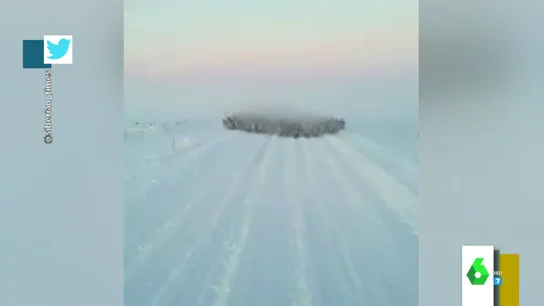 El impactante video de una avalancha de renos dirigiéndose hacia un conductor El impactante video de una avalancha de renos dirigiéndose hacia un conductor