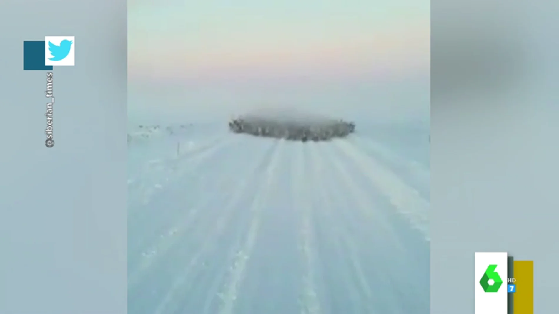 El impactante video de una avalancha de renos dirigiéndose hacia un conductor