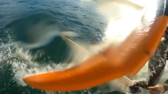 Una tabla golpea a Sebastian Steudtner Una tabla golpea a Sebastian Steudtner