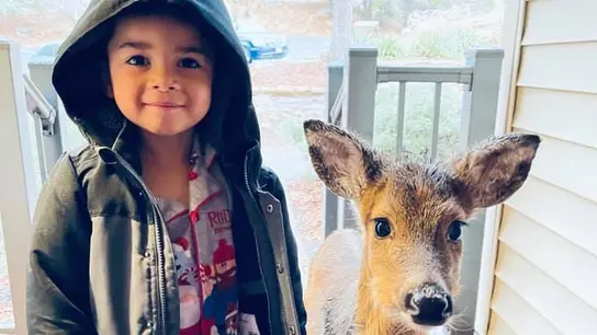 El niño con el cervatillo El niño con el cervatillo