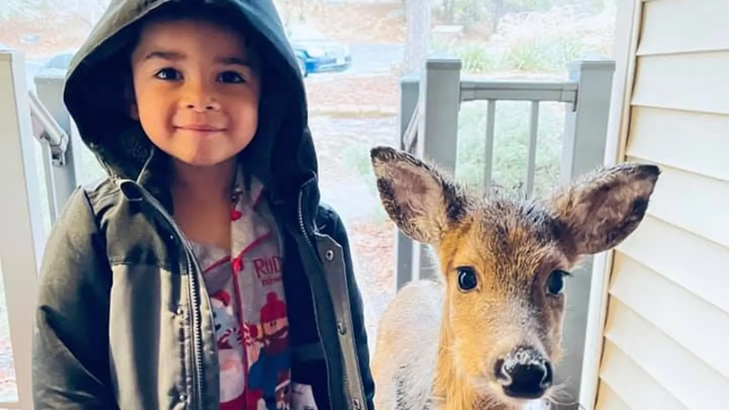 El niño con el cervatillo El niño con el cervatillo