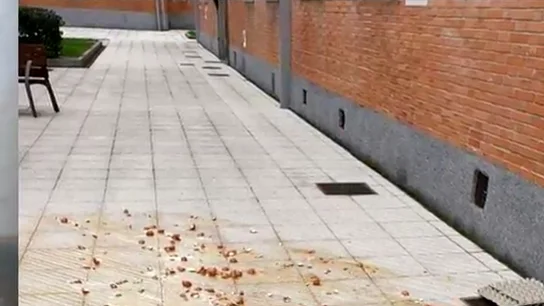 Atacan con huevos la casa del presidente de Asturias, Adrián Barbón Atacan con huevos la casa del presidente de Asturias, Adrián Barbón