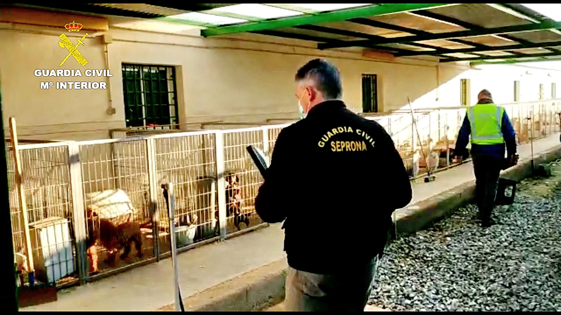 Miembros del SEPRONA intervienen un criadero de perros en Granada