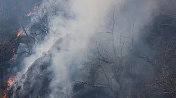 Incendio forestal que afecta al norte de Navarra y Gipuzkoa