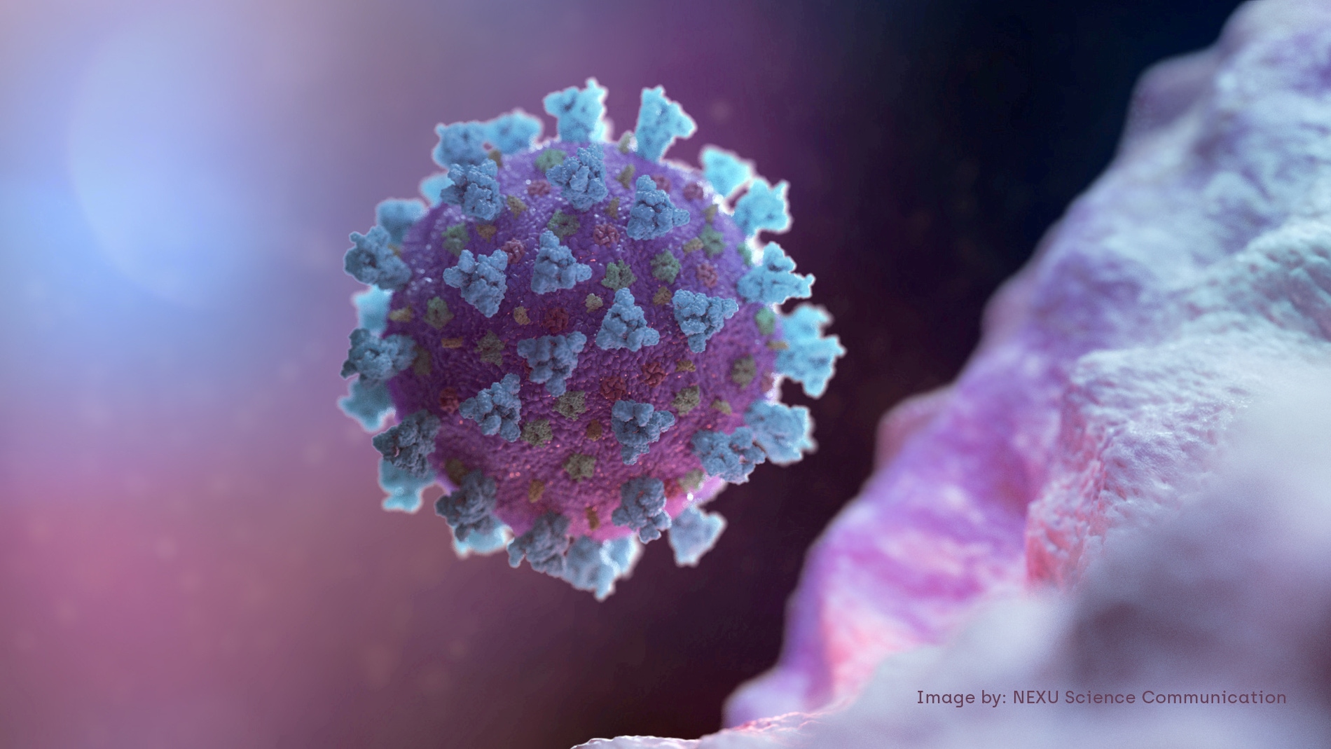 Coronavirus: Así funciona la variación genética 'NKG2C' que explica los casos graves de COVID-19