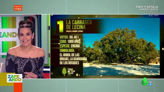 Una encina española va ganando el "Eurovisión de los árboles": así es el concurso 'Árbol Europeo del Año' Una encina española va ganando el "Eurovisión de los árboles": así es el concurso 'Árbol Europeo del Año'