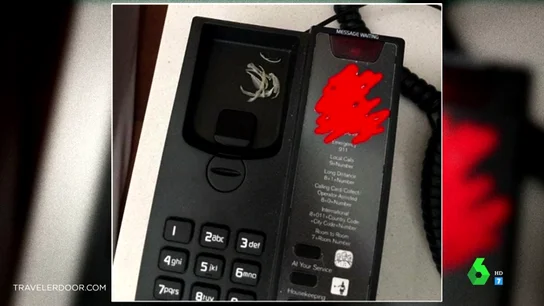 Lo peor que se ha encontrado el personal de limpieza en los hoteles Lo peor que se ha encontrado el personal de limpieza en los hoteles