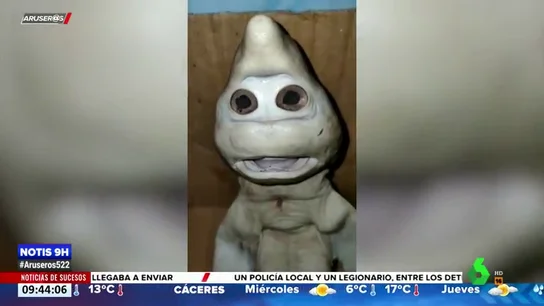 TIBURON HUMANO TIBURON HUMANO