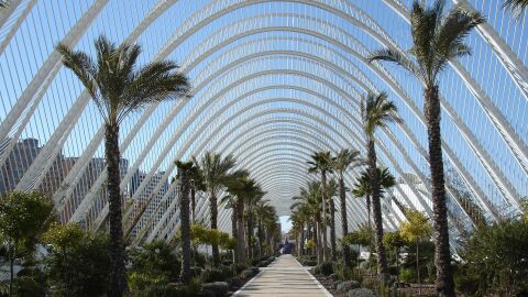 Ciudad de las Artes y las Ciencias