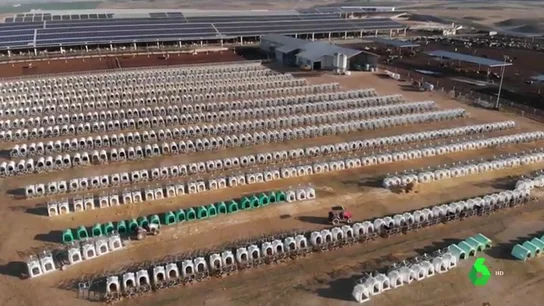 Cadáveres apilados y excrementos que cuadruplican la contaminación permitida: así es la macrogranja "inhumana" que denuncian ecologistas en Navarra Cadáveres apilados y excrementos que cuadruplican la contaminación permitida: así es la macrogranja "inhumana" que denuncian ecologistas en Navarra