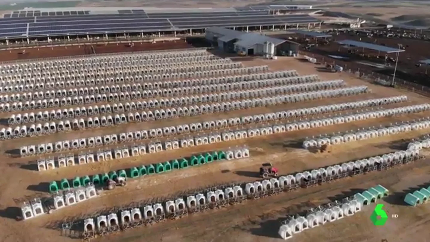 Cadáveres apilados y excrementos que cuadruplican la contaminación permitida: así es la macrogranja "inhumana" que denuncian ecologistas en Navarra Cadáveres apilados y excrementos que cuadruplican la contaminación permitida: así es la macrogranja "inhumana" que denuncian ecologistas en Navarra
