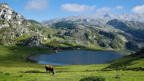 Lagos de Covadonga Lagos de Covadonga
