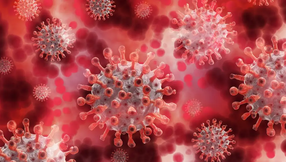 Las proteínas accesorias del coronavirus determinan la gravedad de la enfermedad, según un estudio