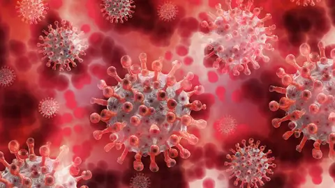 Las proteínas accesorias del coronavirus determinan la gravedad de la enfermedad, según un estudio Las proteínas accesorias del coronavirus determinan la gravedad de la enfermedad, según un estudio