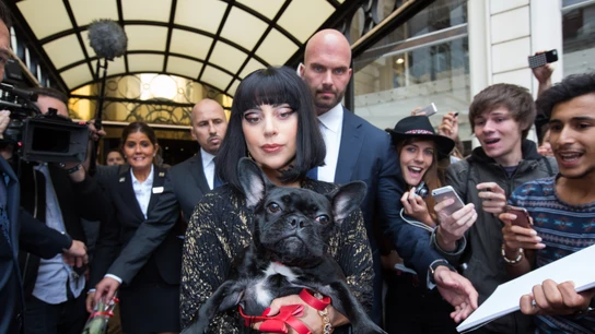 Lady Gaga con su perro en brazos Lady Gaga con su perro en brazos Lady Gaga con su perro en brazos Lady Gaga con su perro en brazos Lady Gaga con su perro en brazos Lady Gaga con su perro en brazos