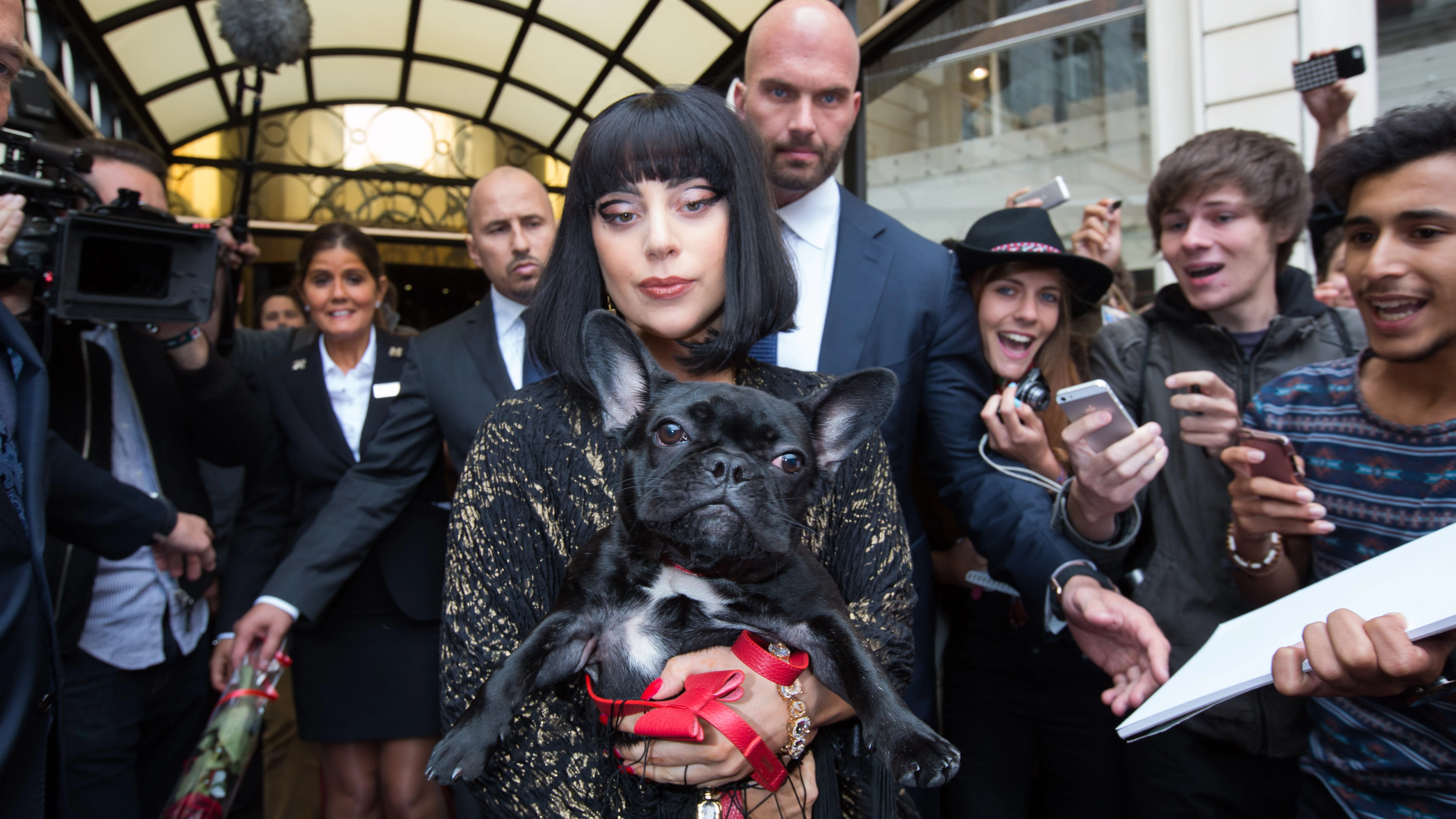 Lady Gaga con su perro en brazos