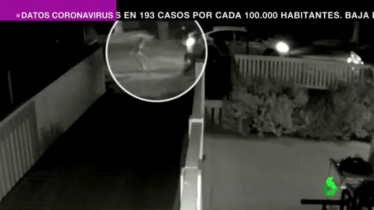 Las impactantes imágenes del secuestro de los perros de Lady Gaga a punta de pistola Las impactantes imágenes del secuestro de los perros de Lady Gaga a punta de pistola