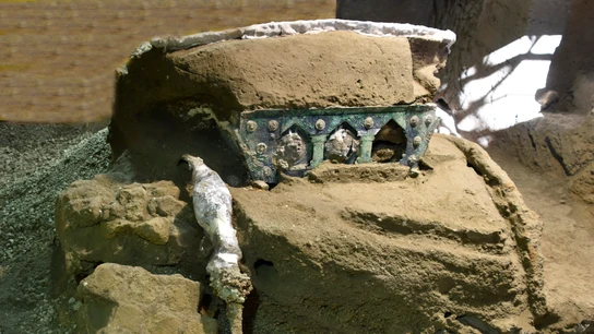 Imagen de la carroza cedida por el Parque Arqueológico de Pompeya Imagen de la carroza cedida por el Parque Arqueológico de Pompeya