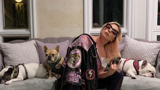 Lady Gaga posa junto a sus tres perros Lady Gaga posa junto a sus tres perros