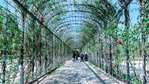 Jardines del Palacio de Schönbrunn