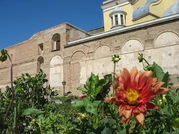 Dalieda de San Francisco, Madrid Dalieda de San Francisco, Madrid